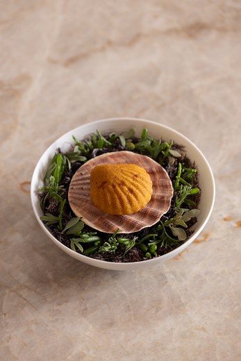 The first episode of this year’s Christmas special! 🎄 We’re going to begin with the first bite and that’s a lovely savory scallop madeleine! It’s a batter that’s made with the scallops roe and tandoori spices and we’re going to stuff the madeleine with scallop itself. To really bring it to the next level we’re using every single bit of the scallop, so we’re going to make a glaze from the beard. 🔥 I think it’s definitely one of the best things I made so far so find a full tutorial on my YouTube