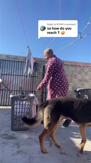 Althea Collins on TikTok