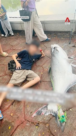Teens reel in huge catfish at Punggol Park