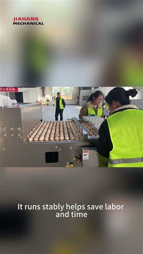 Egg Automatic Feeding Machine Workflow 6
