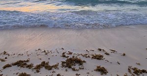 Video by Photografia on Pexels