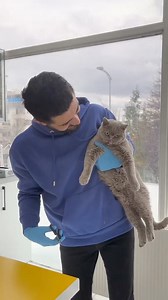 140K views · 4.1K reactions | Behind the scenes came❤️ #Dante_Veteriner #catlovers #cat #of #pet #cats #CatLife #kittens #kitty #cute #meow #dog #catoftheday #foryourpage #foryou #animals #cutecat #world #virals #trend #fyp #followers | Danteveteriner | Facebook