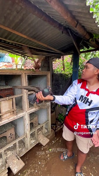 Update si gambir comres lagi