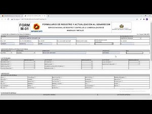 Tutorial: Llenado del Formulario M-01 (Empresas privadas)