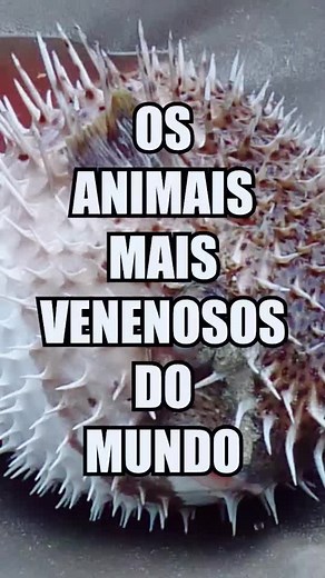 Animais Mais Venenosos do Mundo