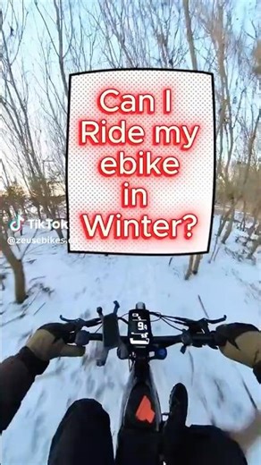 Best Electric Bikes for Winter | Himiway C5 Ultra | Zeus Ebikes #ebikecanada
