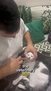 7.3K views · 64 reactions | For the past 7 years, I’ve been rescuing...