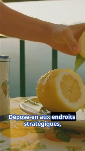 3 astuces naturelles pour chasser les fourmis en été 🐜🌞