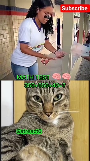 dirty hand aura #catbombastic #shortvideos #catreaction #catmoments #viral #trending