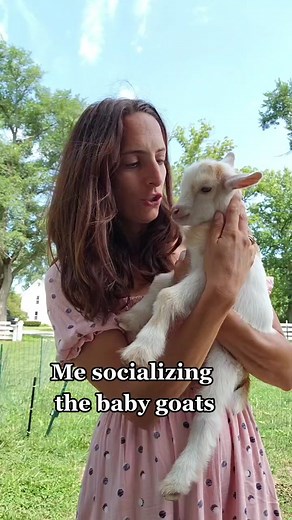 Socializing Baby Goats: A Guide to Friendly Animals
