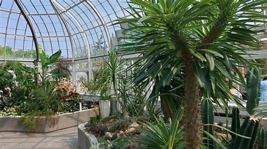 Boost Team Creativity with Ottawa s Tropical Greenhouse | Anne Thornley-Brown MBA posted on the topic | LinkedIn
