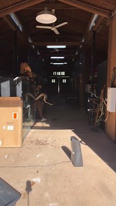 Best caption wins During winter feeding some of the snakes don’t each much because their metabolism drops so I took a few out for inspection 🧐 | Mike Holston