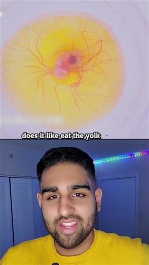 Hatching An Egg Without a Shell! 🐣