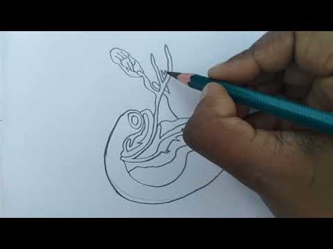 How to draw pancreas diagram class 10 | How to draw pancreas diagram | Pancreas diagram drawing