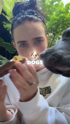 Celebrities Who Are Huge Pet Lovers 🐶👀 #sabrinacarpenter #taylorswift #billieeilish #shorts