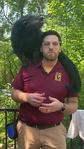 Support Binturong Conservation with Wilbur T-Shirts