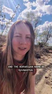 Sami