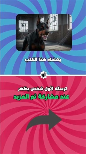 ٢٥ أكتوبر ٢٠٢٥