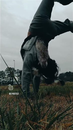 Practicing! :3 #therian #lynx #Lynxito7 #lynxito