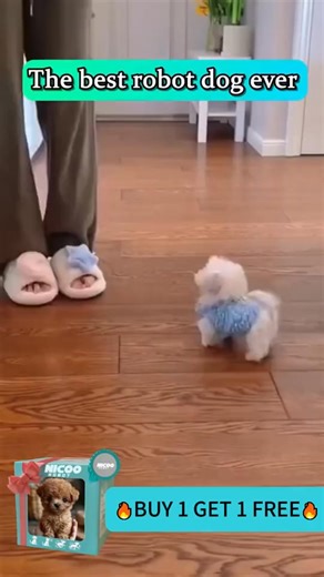 This adorable robot puppy is incredibly realistic! Get it here! 👇 https://ck-shop-us.com/robot-puppy | Julie Shopping