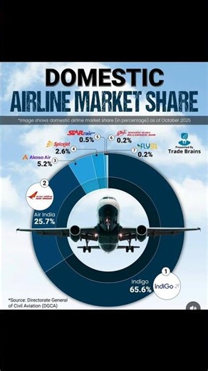 DOMESTIC AIRLINE 🛩 MARKET SHARE #dataanalytics