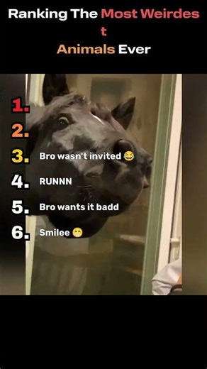 DONT CHECK THE SOUND 😭😭