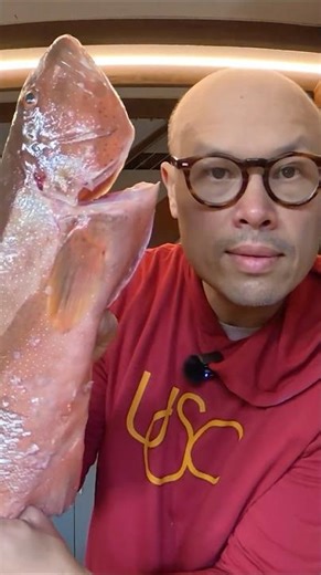 Preparing a Coral Trout From Ocean to Table