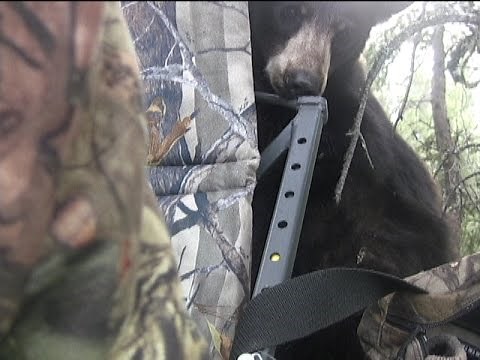 Saskatchewan Black Bear Adrenaline At It's Best!
