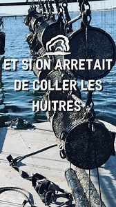 230K views · 2.3K reactions | Dit moi ce que tu penses de cette méthode en paniers de chez Seaducer ? 寧 #lesostreiculteurs #ostreiculture #ostreiculteur #conchyliculture #conchyliculteur #huitres #oyster #collaboration #collaborationcommerciale #sponsorisée | Q&E les Ostréiculteurs | Facebook