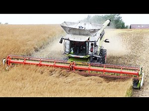 Claas Lexion 8900 - Harvest Season 2022 | World's Biggest Combine harvesting barley & canola