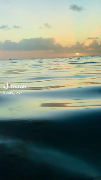 Simple edit 🌴✨ #4u #3dxt_nwcal #lacheunlike✨