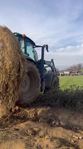 143K views · 2.1K reactions | L’exploitant sacrifie sa paille de...