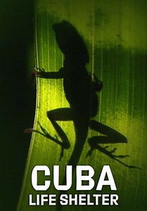 Cuba: Life Shelter (2013)