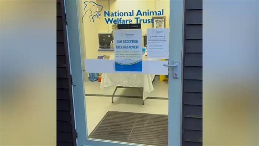 Christmas Day at NAWT Cornwall. The dogs and cats loved all of their donated presents 🎁 🐾 💕 thank you to everyone who dropped off gifts for them and the humans that look after them, your support has made a world of difference 🥰 | National Animal Welfare Trust Cornwall