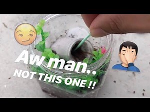 Unboxing “MYSTERY” TARANTULAS for the FIRST (and last.. I hope) TIME !!!