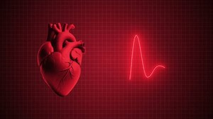 Heart Beating Animation Heart Rate Glowing Stock Footage Video (100% Royalty-free) 3517305105 | Shutterstock