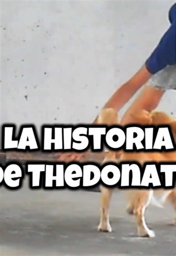 La inspiradora historia de Donato Muñoz, el rey de Free Fire