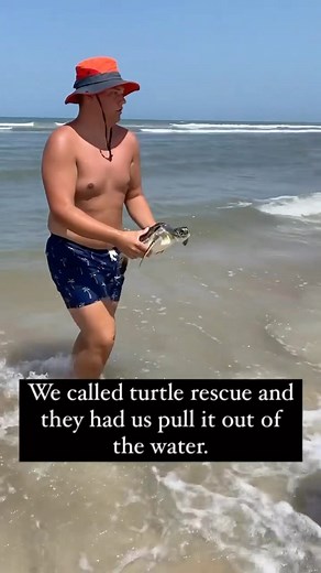 We had the most incredible sea turtle experience. 🥰 We got to rescue a sea turtle! 💯 It’s amazing moments like these that I am so thankful for travel. We will always remember this day and my heart is thankful for experiences like this one! We later got to go visit him at a sea turtle rescue center. ❓Have you ever seen a sea turtle in the wild? ——————————— 🚐 Our family has RVed full-time for 7 years across 42 states. We share BOTH the benefits and challenges of RVing, RV tips, RV living, and a