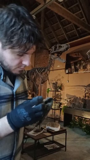 Dinosaur Skeletons on Instagram: "Painting a baby Diplodocus in the studio. I'm currently working on a full skeleton for a museum! More details to follow. #diplodocus #wyoming #hellcreek #cretaceous #jurassic #triassic #fossil #dinosaur #dinosaurs #skeleton #skull #artist #sculpture #sculptor #velociraptor #museum #smallbusinessowners #paleontology #paleontologist #replica #trex #jurassicpark #jurassicworld #prehistoricplanet #reptiles #naturalhistorymuseum"