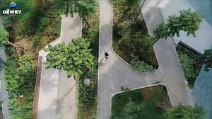 511 reactions · 60 comments |  THE DEWEY SCHOOLS: NGÔI TRƯỜNG KHÁM...