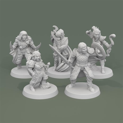 Adventurer Party Miniatures for D&D Player Characters 15mm-32mm - Etsy