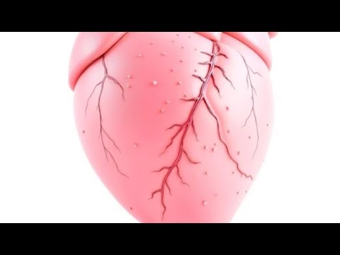 समय निकाल कर जरुर पढ़े! जानिए हार्ट समस्या कैसे बडता है 🤔#live#viral,ruchiblog#vedio