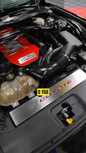2015 Ford Mustang GT (Coyote 5.0L V8)