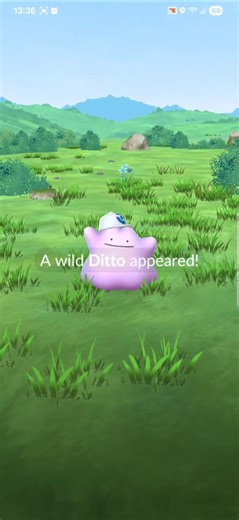 Pokémon GO - Catching a Ditto Wearing a Cap