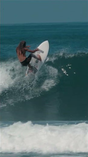 The 'Too Fish' is at Surf Shops Everywhere