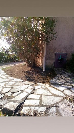 Entretien des espaces verts chez une cliente #chantier | M services