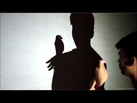 How to Make Bird Shadow By Hand III Amazing Hand Shadow Performance