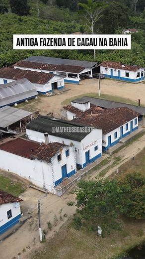 AS ANTIGAS FAZENDAS DE CACAU NA BAHIA - As antigas fazendas de cacau da Bahia carregam memórias de um tempo em que a região era símbolo de riqueza e prosperidade. Hoje muitas delas seguem produzindo mas em um ritmo bem diferente do passado. Caminhar por esses espaços é como entrar em um museu vivo onde pés de cacau centenários convivem com métodos tradicionais e histórias de famílias que resistiram ao tempo. Mesmo com todas as mudanças o cheiro da amêndoa secando ao sol e o som da mata continuam
