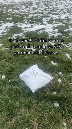 Unboxing Bridal Dresses: A Surprise in My Yard