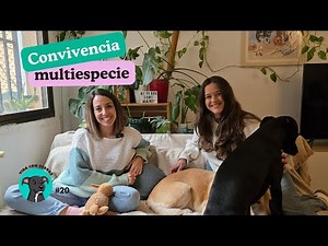 Coexistence between dogs and children with Tamara Hernán | Life with dogs #20